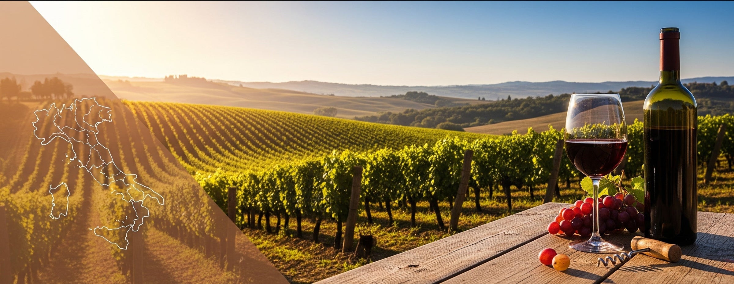 Italian Wine - Grape & Bean