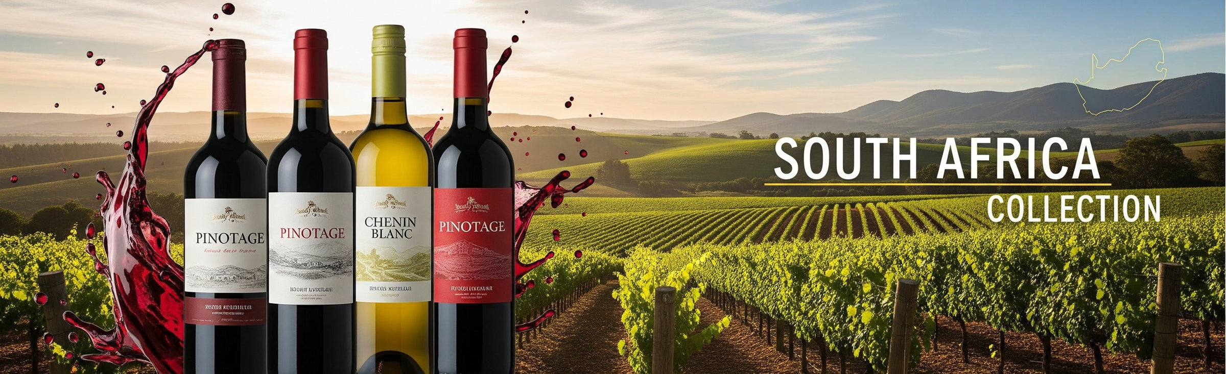 South African Wine - Grape & Bean
