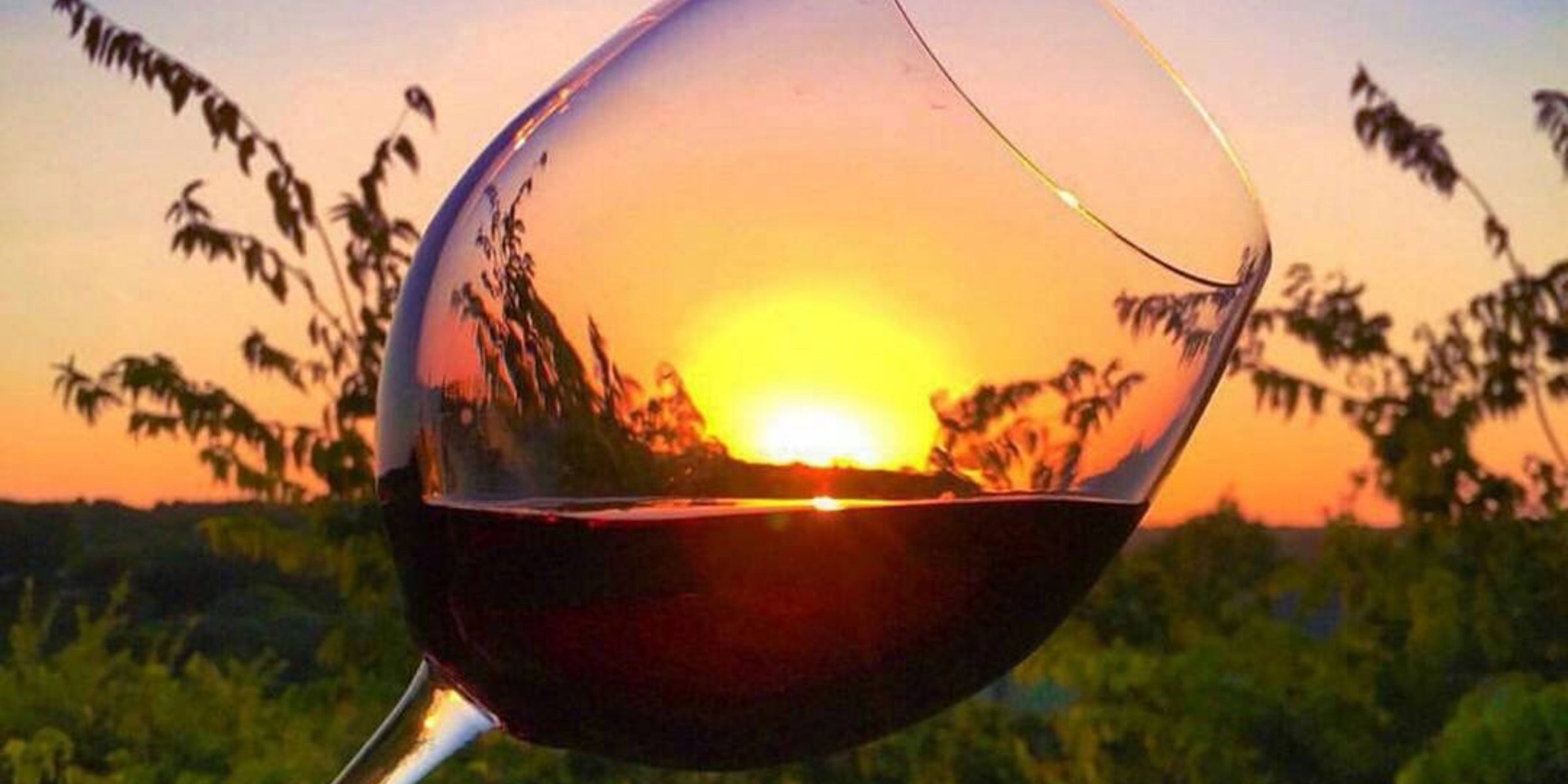 Summer essentials - Grape & Bean