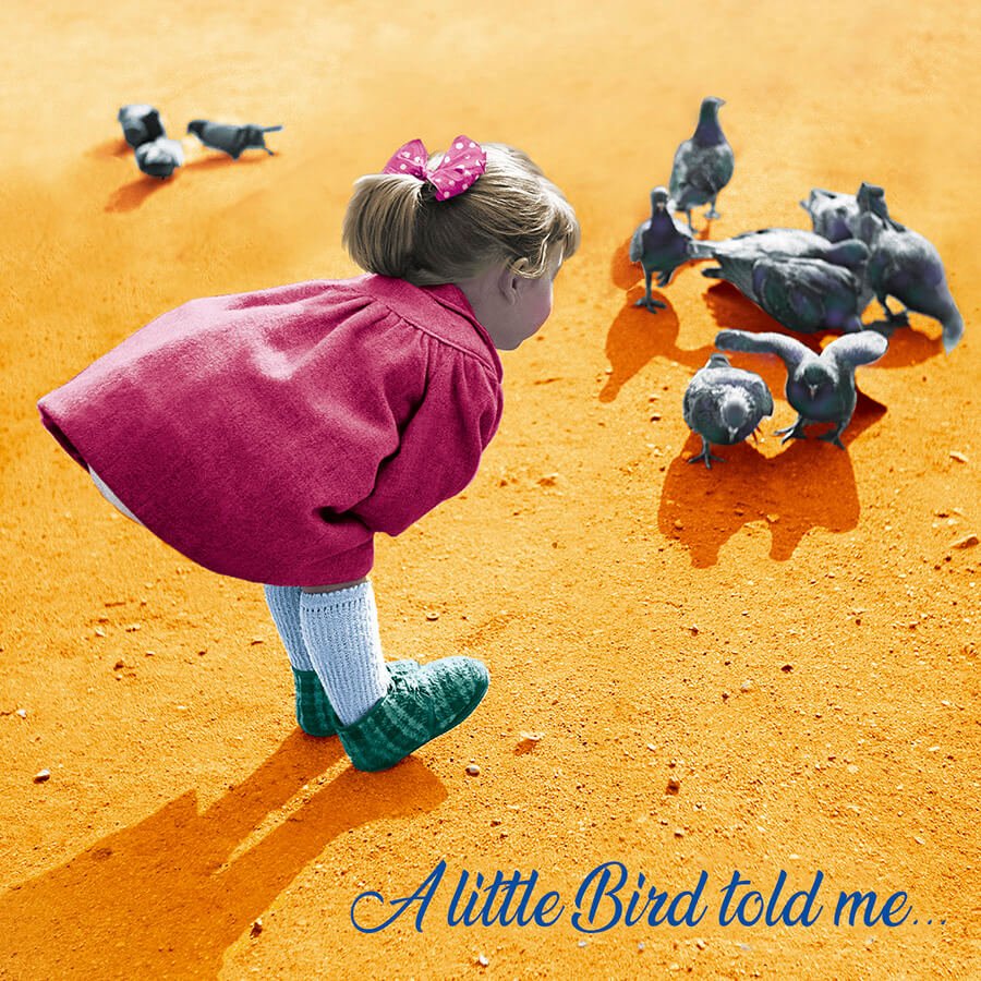A little bird told me - Greeting Card - Grape & Bean