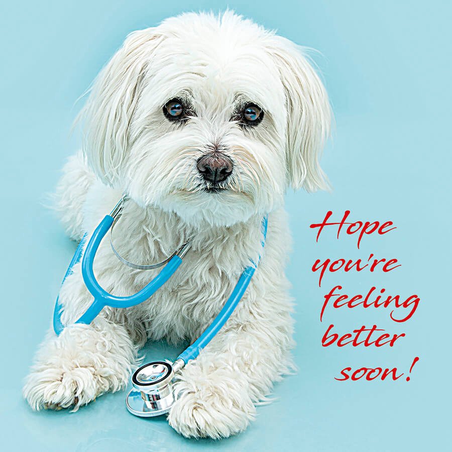 Hope you're feeling better soon - Get Well Card - Grape & Bean