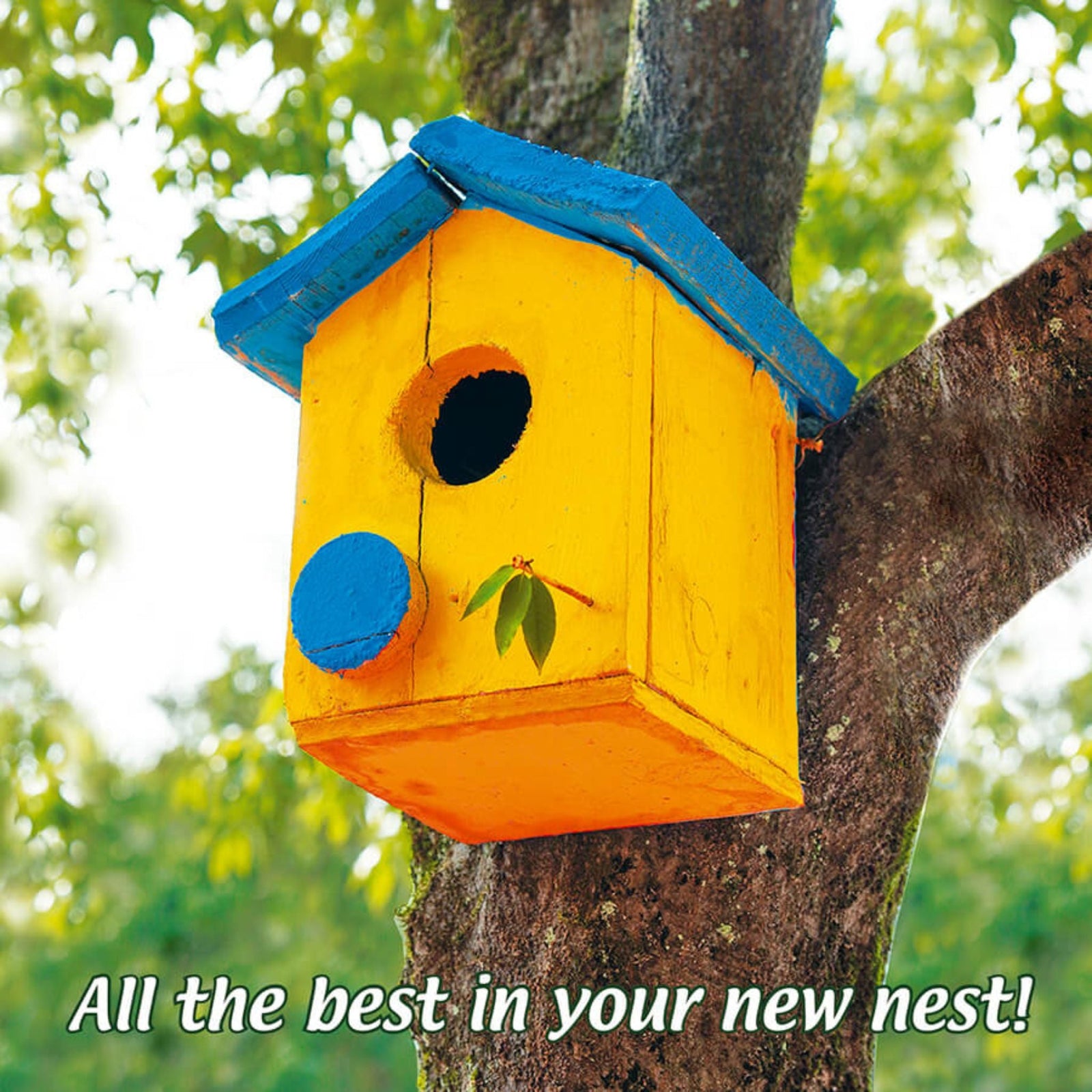 All the best in your new nest! - Grape & Bean