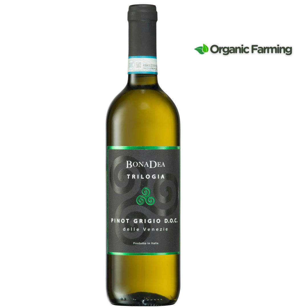 BonaDea Italian Cabernet Franc Red & Pinot Grigio Wine Gift - 2 bottles - Grape & Bean