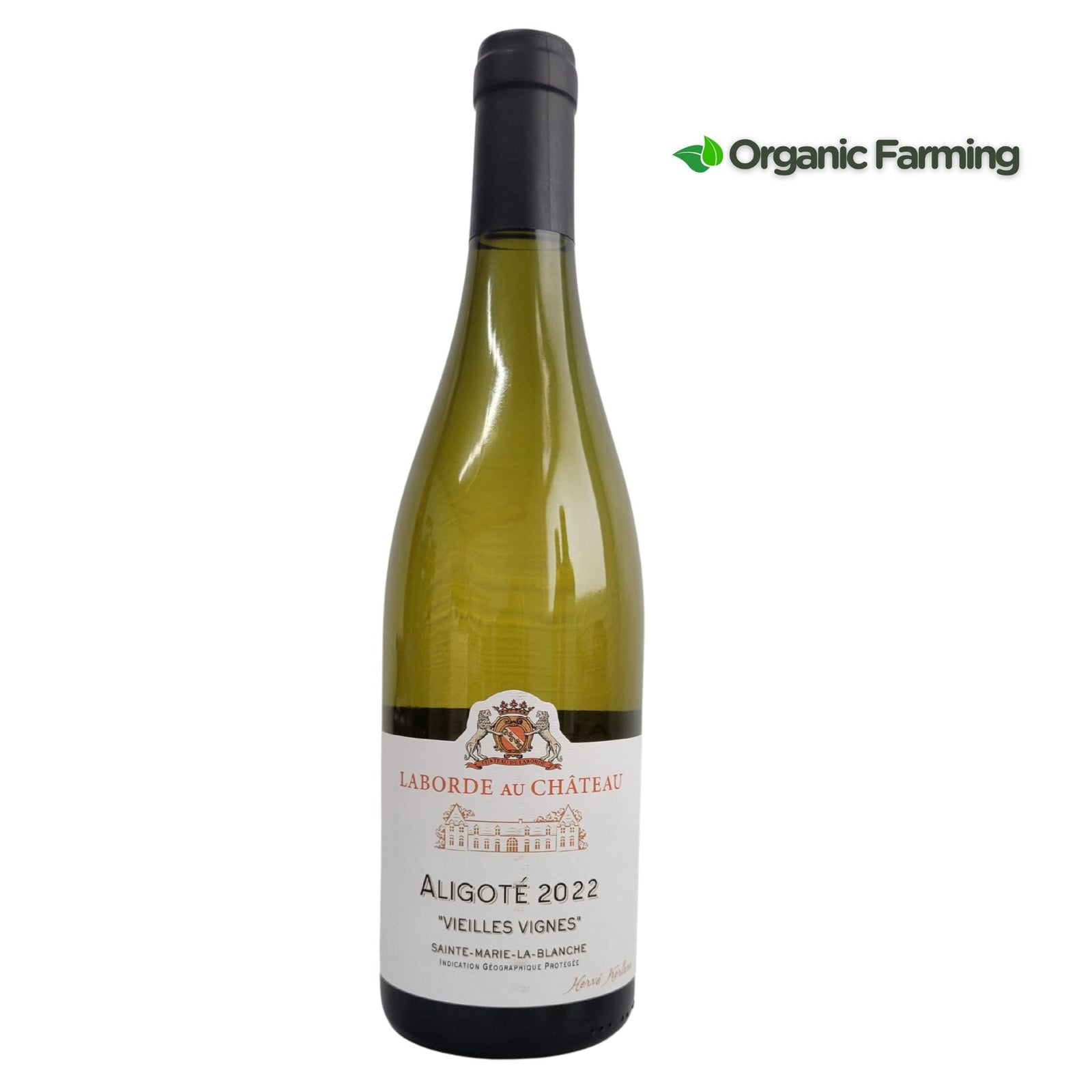 Chateau de Laborde Aligoté "Vielles Vignes" - Grape & Bean