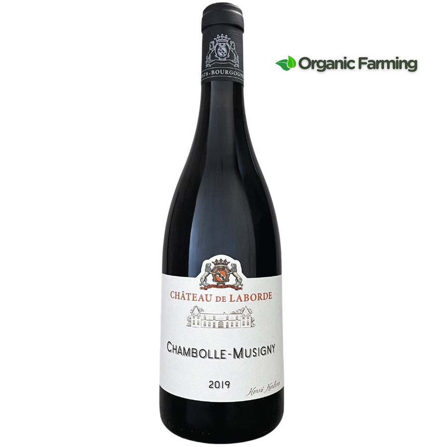 Ch.de Laborde Chambolle-Musigny Burgundy France - Grape & Bean