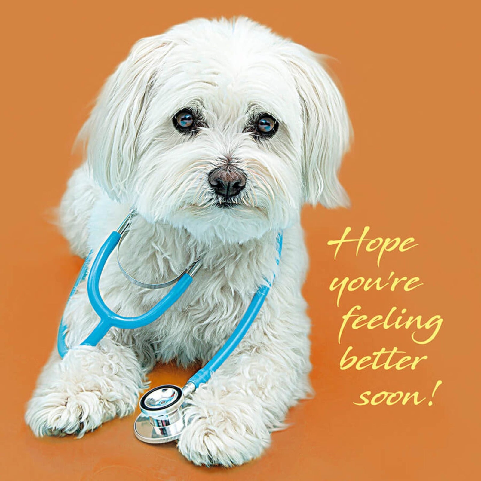 Hope You're Feeling Better Soon - Grape & Bean