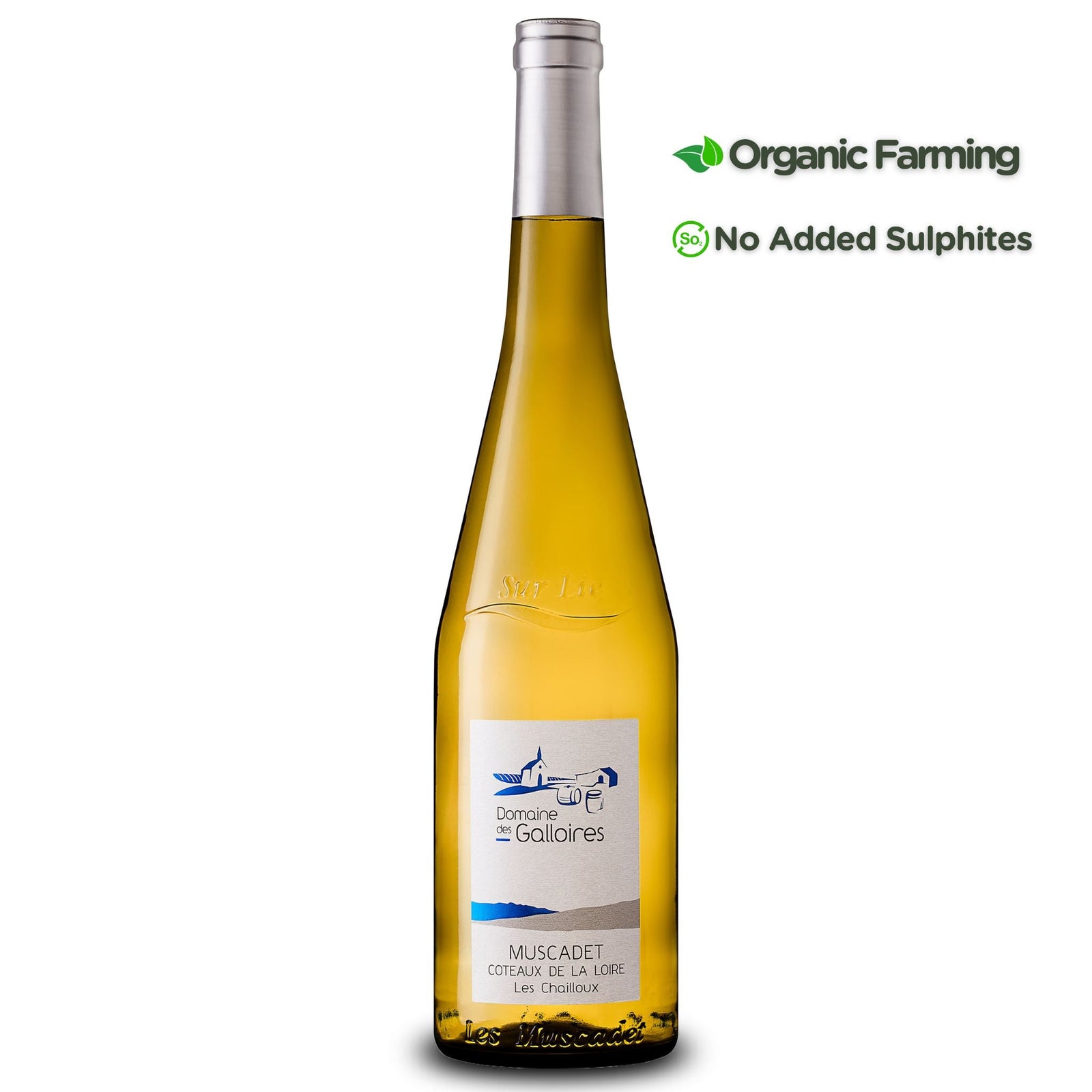Muscadet Coteaux de la Loire sur lie, Domaines des Galloires, Loire valley, France - Grape & Bean