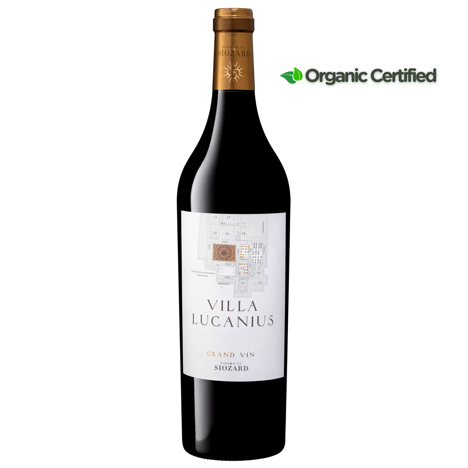 Villa Lucanius Grand Vin, Bordeaux, France - Grape & Bean