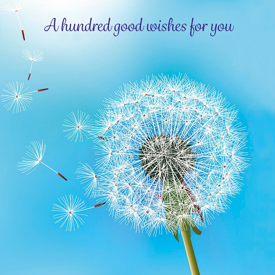 A hundred good wishes - Get Well Card - Grape & Bean