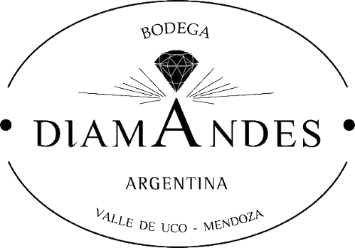 DiamAndes Perlita Malbec-Syrah Argentina - Grape & Bean