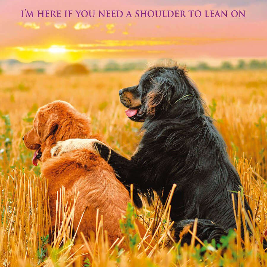 I'm here if you need a shoulder to lean on - Card - Grape & Bean