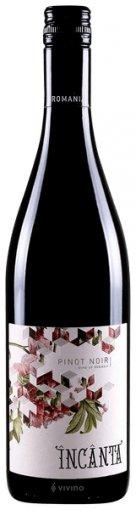 Incanta Pinot Noir Romania - Grape & Bean