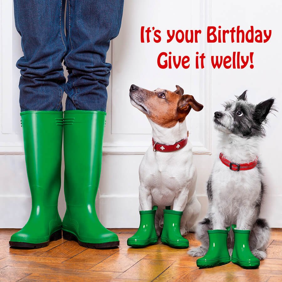 It's your Birthday, Give it Welly - Birthday Card - Grape & Bean