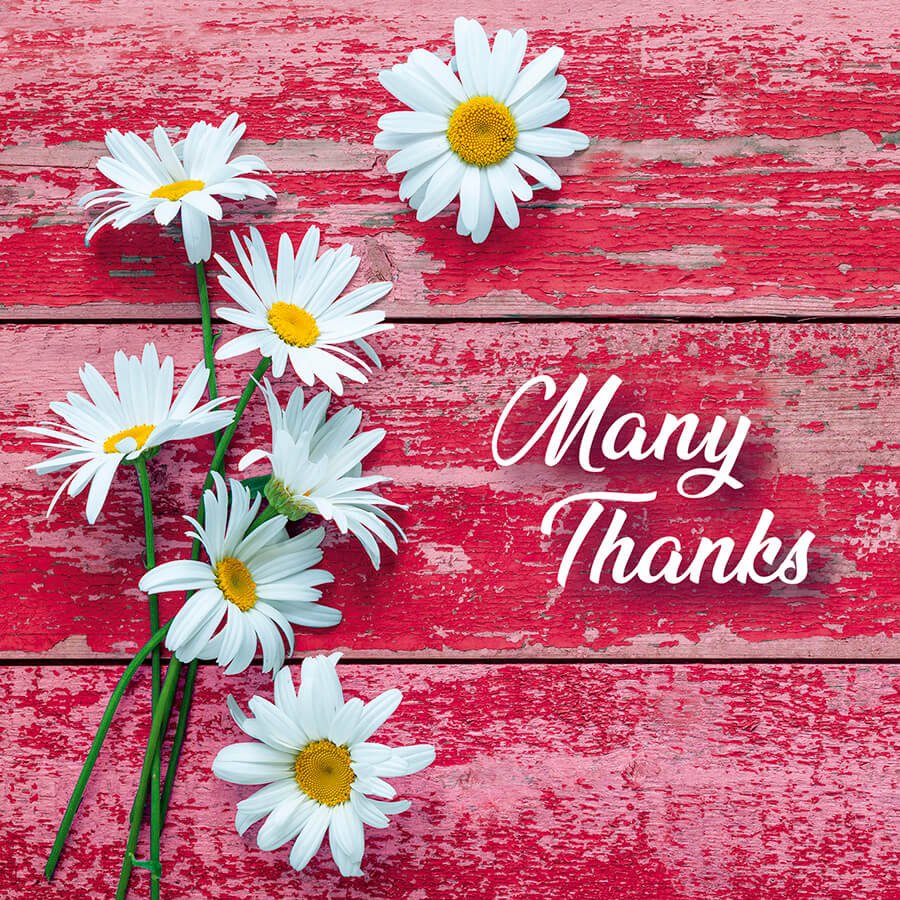 Many Thanks - Thank You Card β Grape & Bean