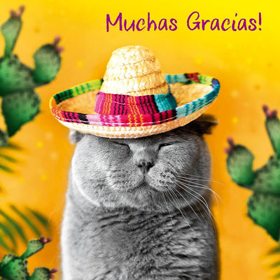 Muchas Gracias! - Thank You Card - Grape & Bean