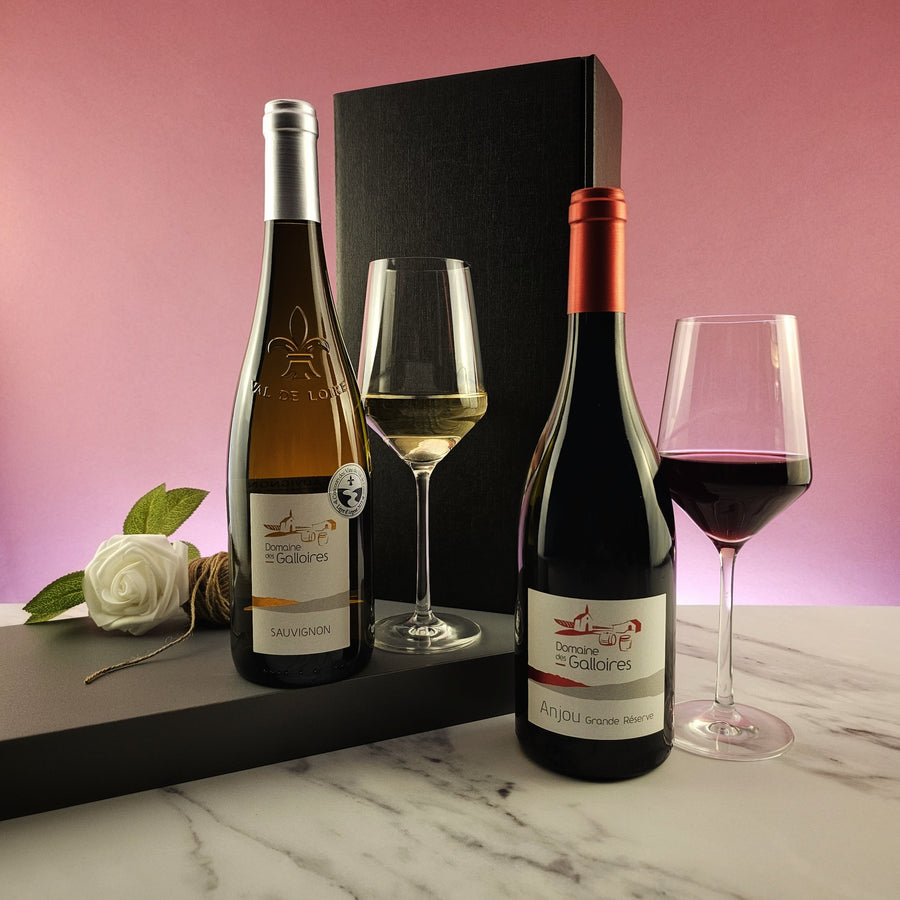 No Added Sulphite Red and White Wine Gift - 2 bottles - Grape & Bean