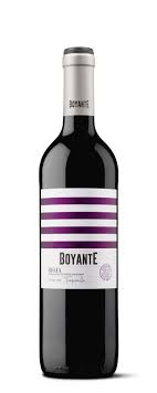 Ontanon Rioja Boyante Tempranillo Spain - Grape & Bean
