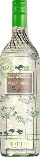 Pinot Grigio Delle Venezie Veneto Italy - Grape & Bean