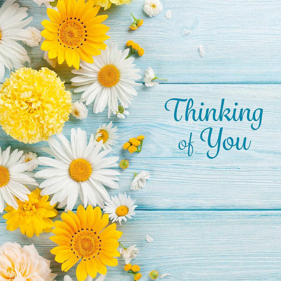 Thinking of You - Card - Grape & Bean