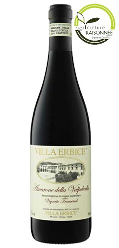 Villa Erbice Amarone della Valpolicella Italy - Grape & Bean