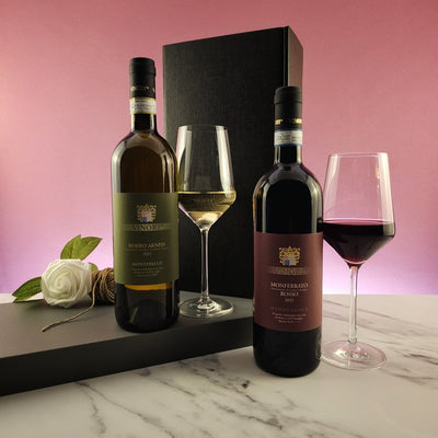 Vinory Piemonte Italy Nebiolo Cabernet Barbera Red and Roero Arneis Wine Gift - 2 bottles - Grape & Bean