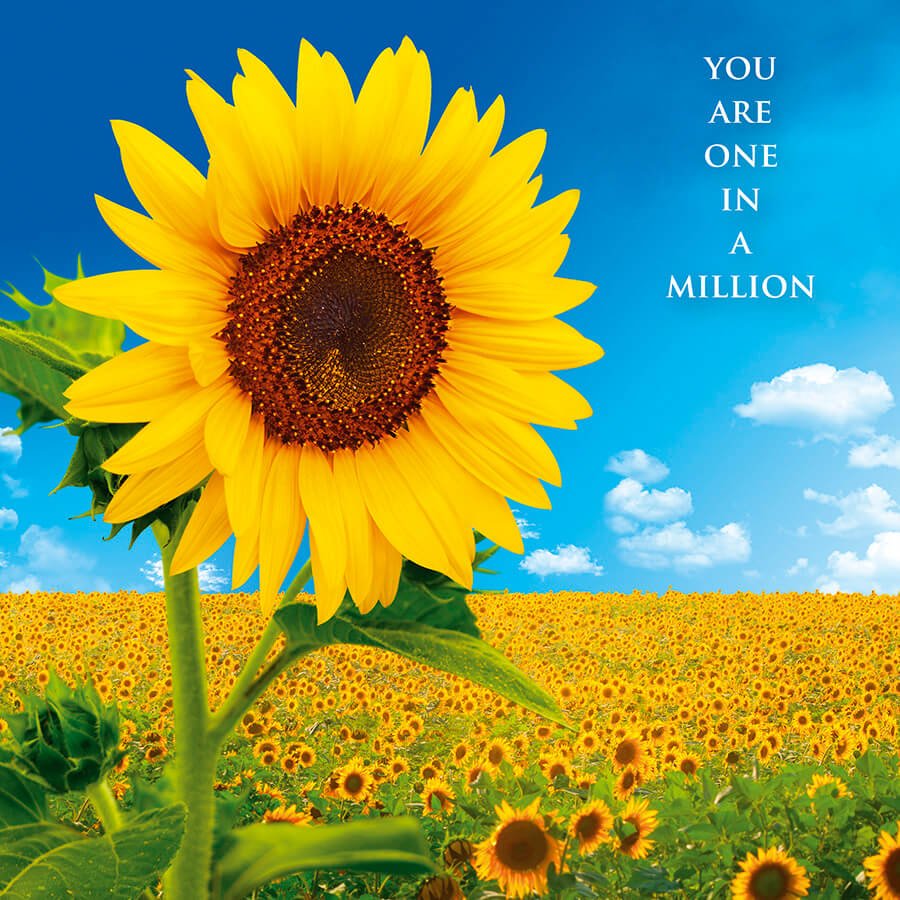 You're one in a million - Greeting Card - Grape & Bean